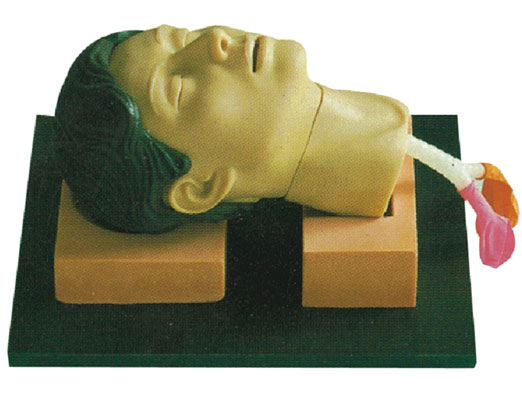 hĤ̺_Ӗģ