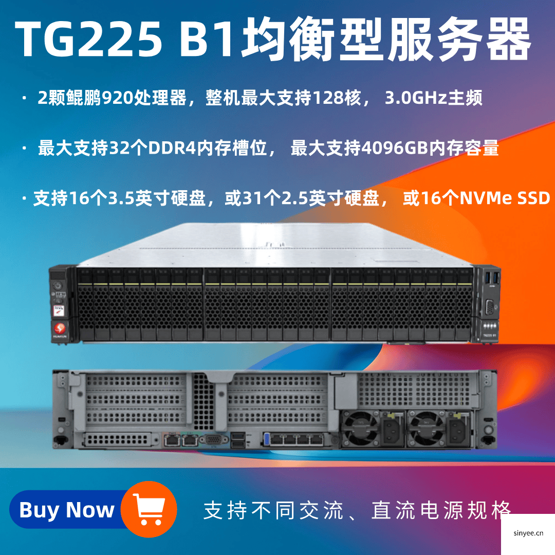 TG225 2U2路均衡型服務(wù)器